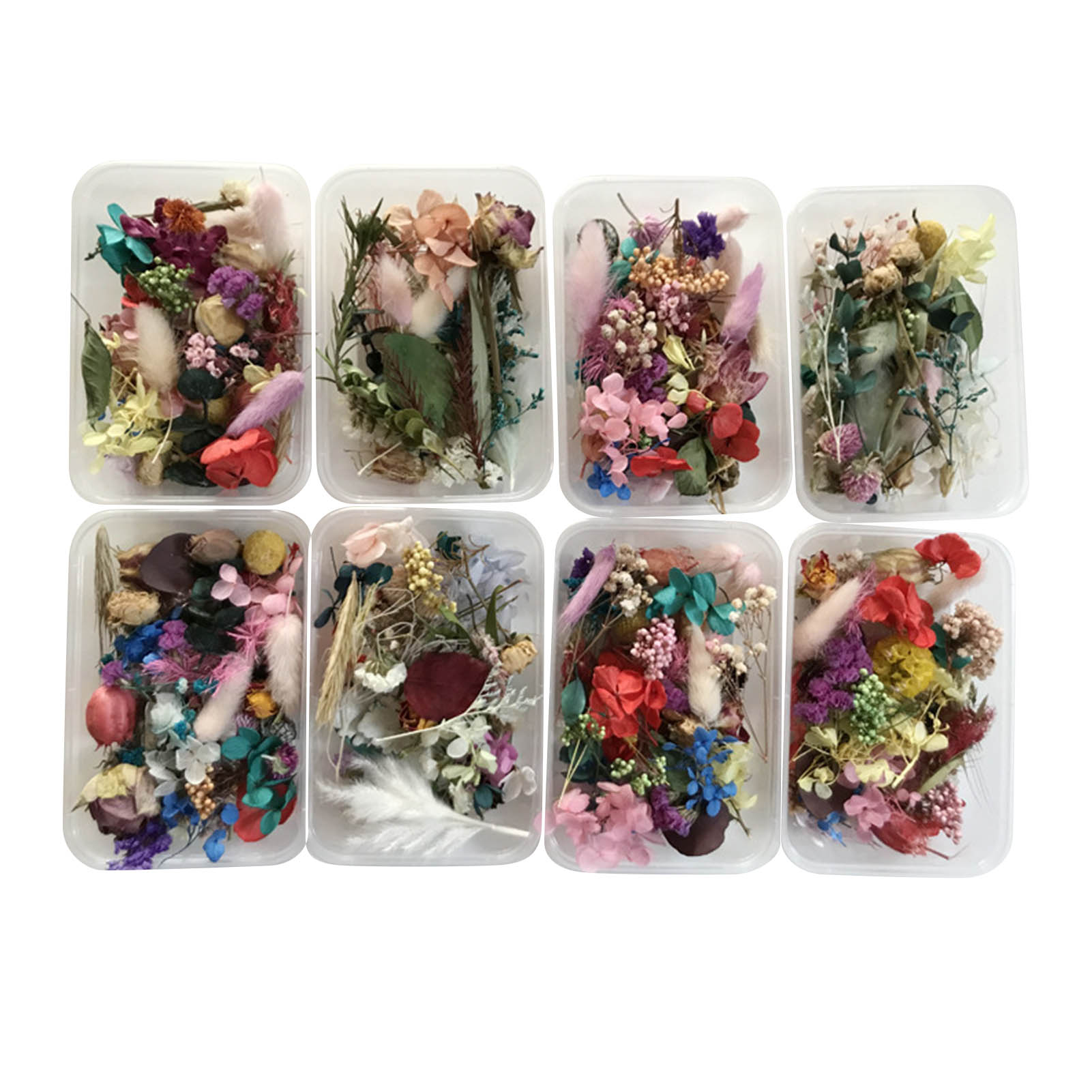 Natural Dried Flower Kit Press - Dried Herbs 评论和价格